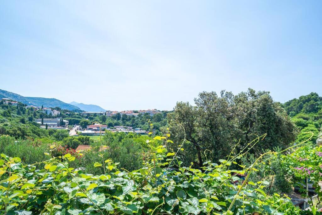Tajchi, 5 Min From Rixos Apartman